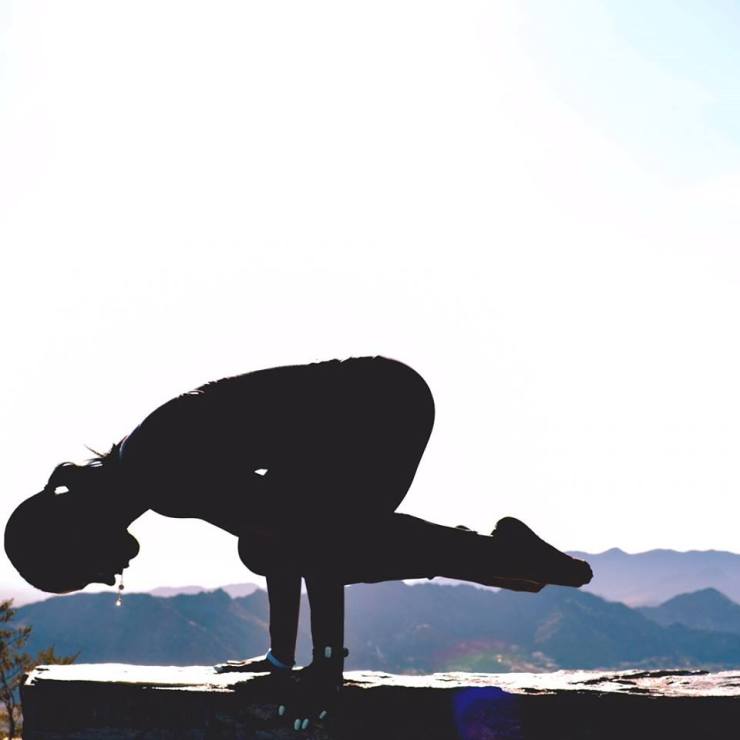 12019989_10206062879583556_8638561417944846634_n